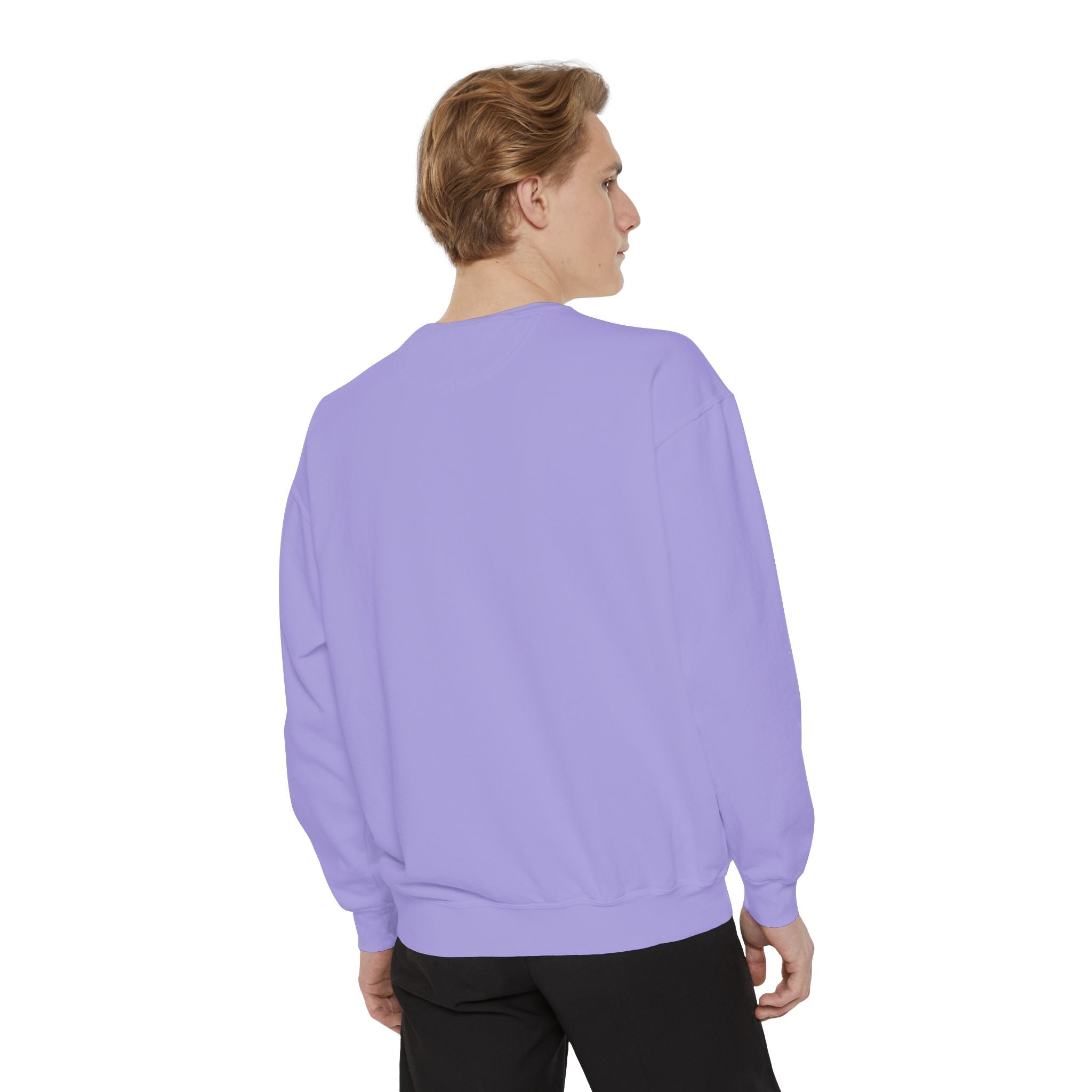 Conspirancy Sweatshirt