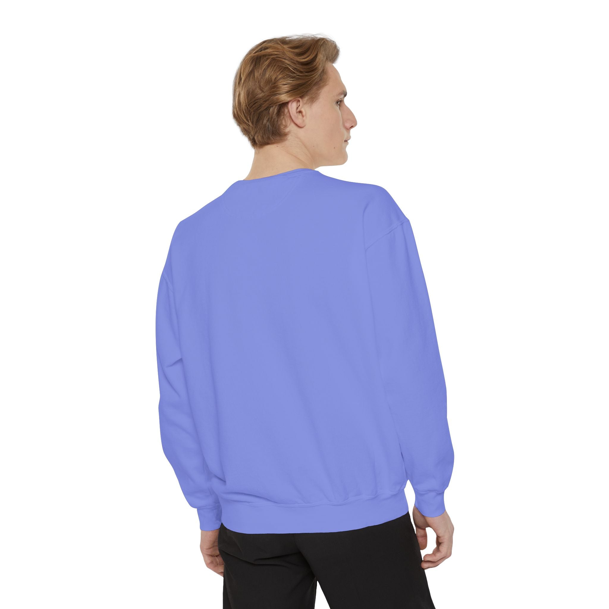 Conspirancy Sweatshirt