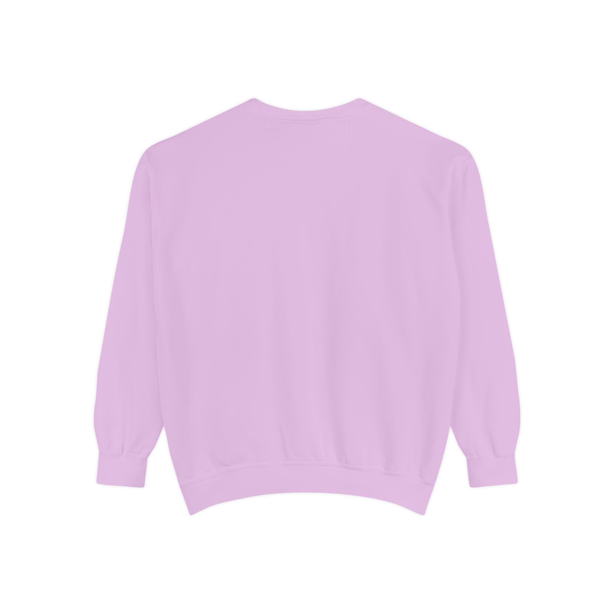 Conspirancy Sweatshirt